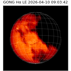 gong - 2026-04-10T09:03:42