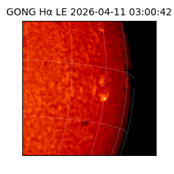 gong - 2026-04-11T03:00:42