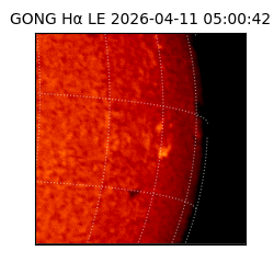 gong - 2026-04-11T05:00:42