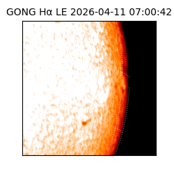 gong - 2026-04-11T07:00:42
