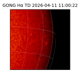 gong - 2026-04-11T11:00:22