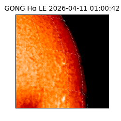 gong - 2026-04-11T01:00:42