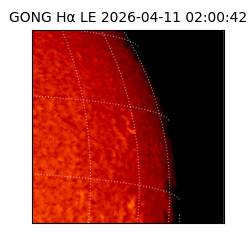 gong - 2026-04-11T02:00:42