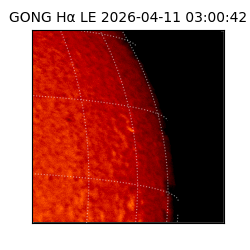 gong - 2026-04-11T03:00:42