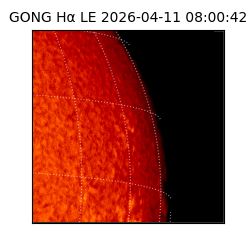 gong - 2026-04-11T08:00:42