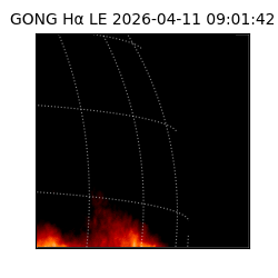 gong - 2026-04-11T09:01:42