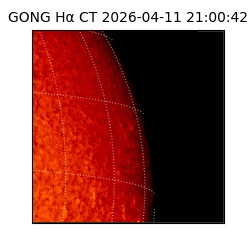 gong - 2026-04-11T21:00:42