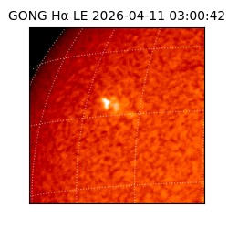 gong - 2026-04-11T03:00:42