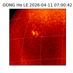 gong - 2026-04-11T07:00:42