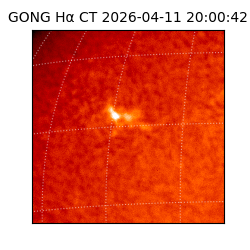 gong - 2026-04-11T20:00:42