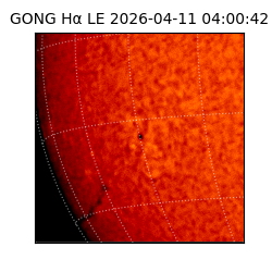 gong - 2026-04-11T04:00:42