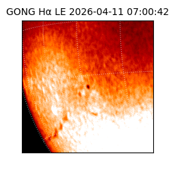 gong - 2026-04-11T07:00:42