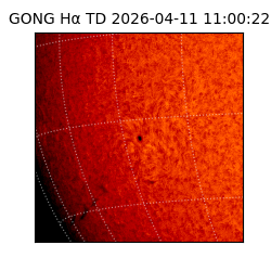 gong - 2026-04-11T11:00:22