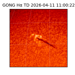 gong - 2026-04-11T11:00:22