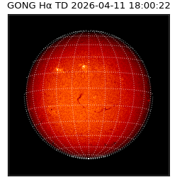 gong - 2026-04-11T18:00:22