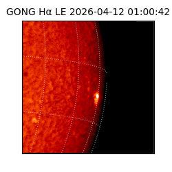 gong - 2026-04-12T01:00:42