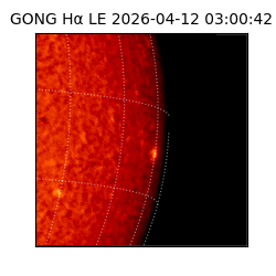gong - 2026-04-12T03:00:42