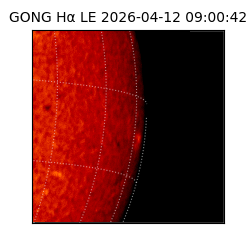 gong - 2026-04-12T09:00:42