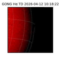 gong - 2026-04-12T10:18:22