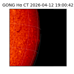 gong - 2026-04-12T19:00:42