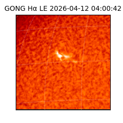 gong - 2026-04-12T04:00:42