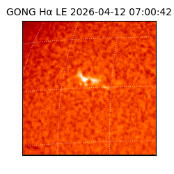 gong - 2026-04-12T07:00:42