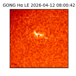 gong - 2026-04-12T08:00:42