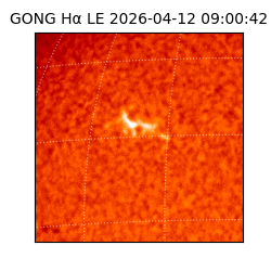 gong - 2026-04-12T09:00:42