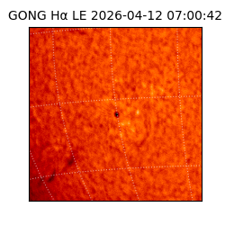 gong - 2026-04-12T07:00:42