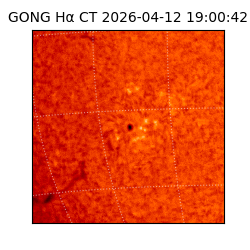 gong - 2026-04-12T19:00:42