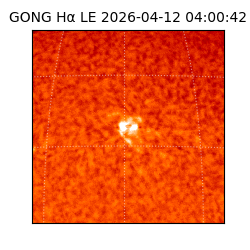 gong - 2026-04-12T04:00:42