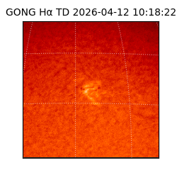 gong - 2026-04-12T10:18:22