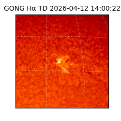 gong - 2026-04-12T14:00:22