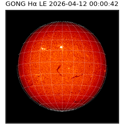 gong - 2026-04-12T00:00:42