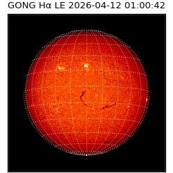 gong - 2026-04-12T01:00:42