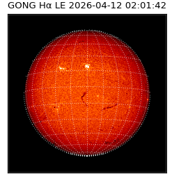 gong - 2026-04-12T02:01:42