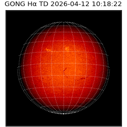 gong - 2026-04-12T10:18:22