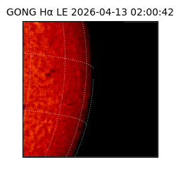 gong - 2026-04-13T02:00:42