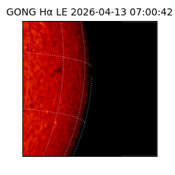 gong - 2026-04-13T07:00:42