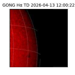 gong - 2026-04-13T12:00:22