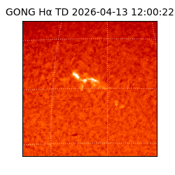 gong - 2026-04-13T12:00:22