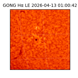 gong - 2026-04-13T01:00:42
