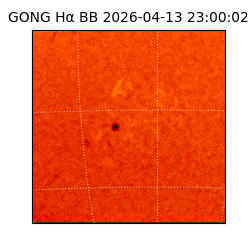 gong - 2026-04-13T23:00:02