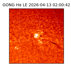 gong - 2026-04-13T02:00:42