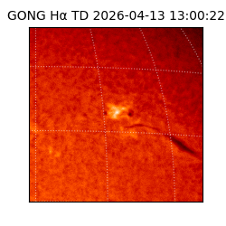 gong - 2026-04-13T13:00:22