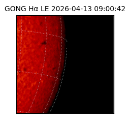 gong - 2026-04-13T09:00:42