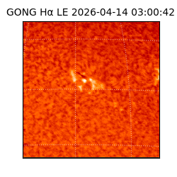 gong - 2026-04-14T03:00:42