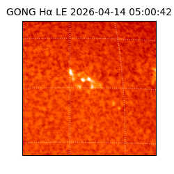 gong - 2026-04-14T05:00:42