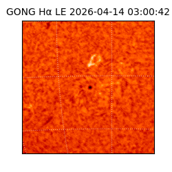 gong - 2026-04-14T03:00:42
