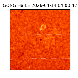 gong - 2026-04-14T04:00:42